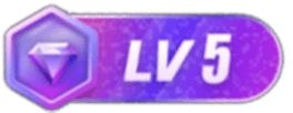 等级-LV5-西风网络安全