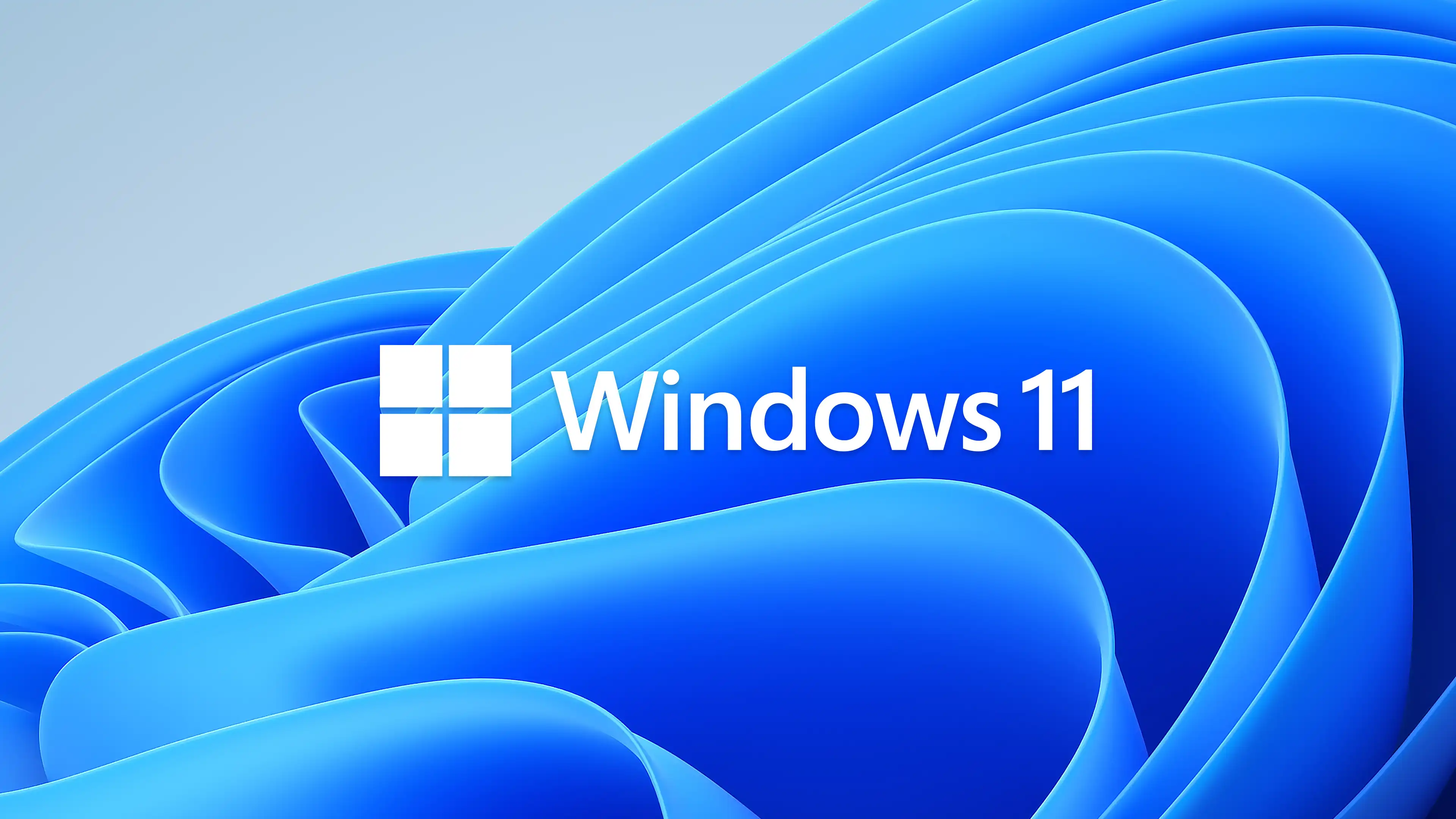 Windows 11 下载-西风网络安全